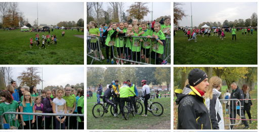 Mosaïque cross 2014